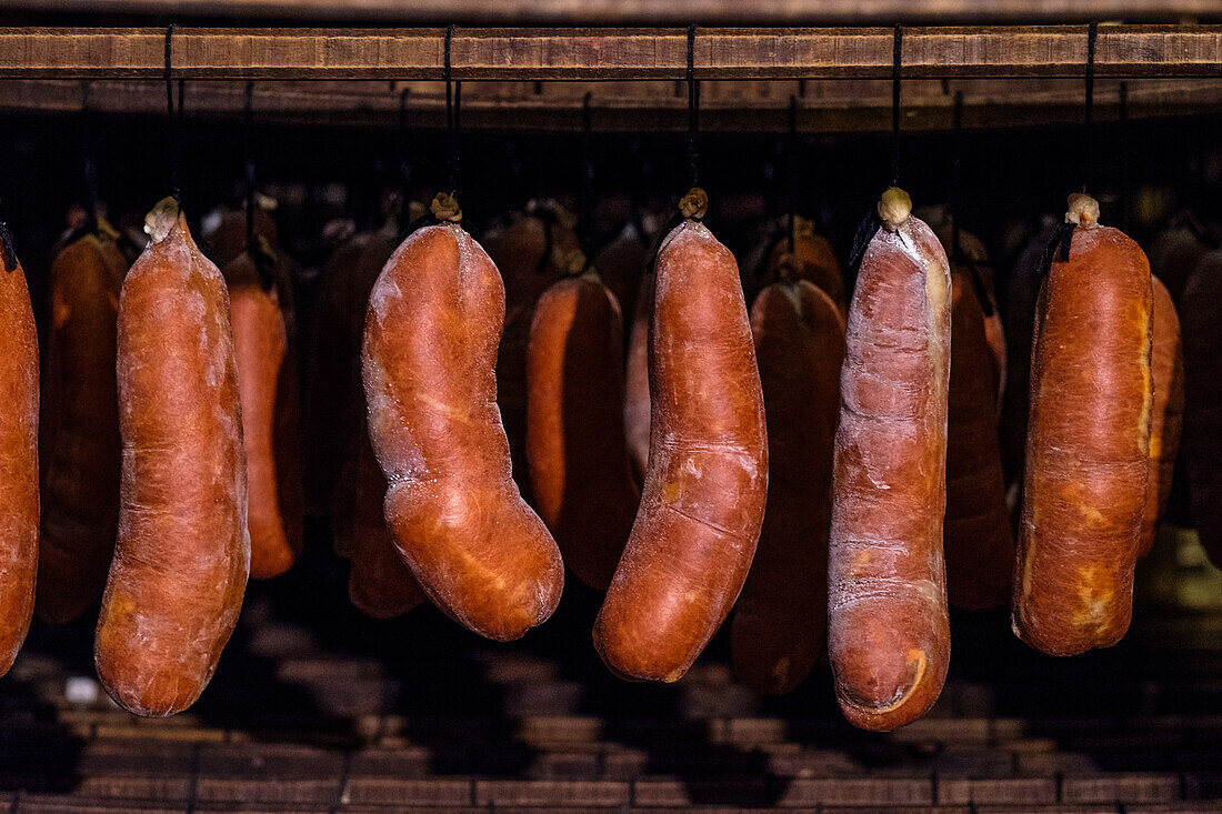 Das Bild zeigt mehrere Reihen von Sobrasada-Würsten, einer Art von gepökeltem Fleisch von den Balearen, die in einer Räucherkammer reifen.