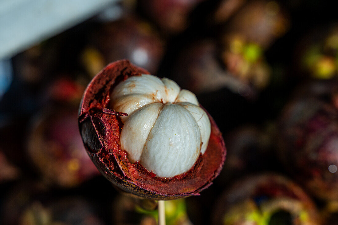 Eine detaillierte Nahaufnahme einer frisch geöffneten Mangostan-Frucht, die die saftige weiße Frucht im Inneren zeigt, fotografiert in Bangkok, Thailand.