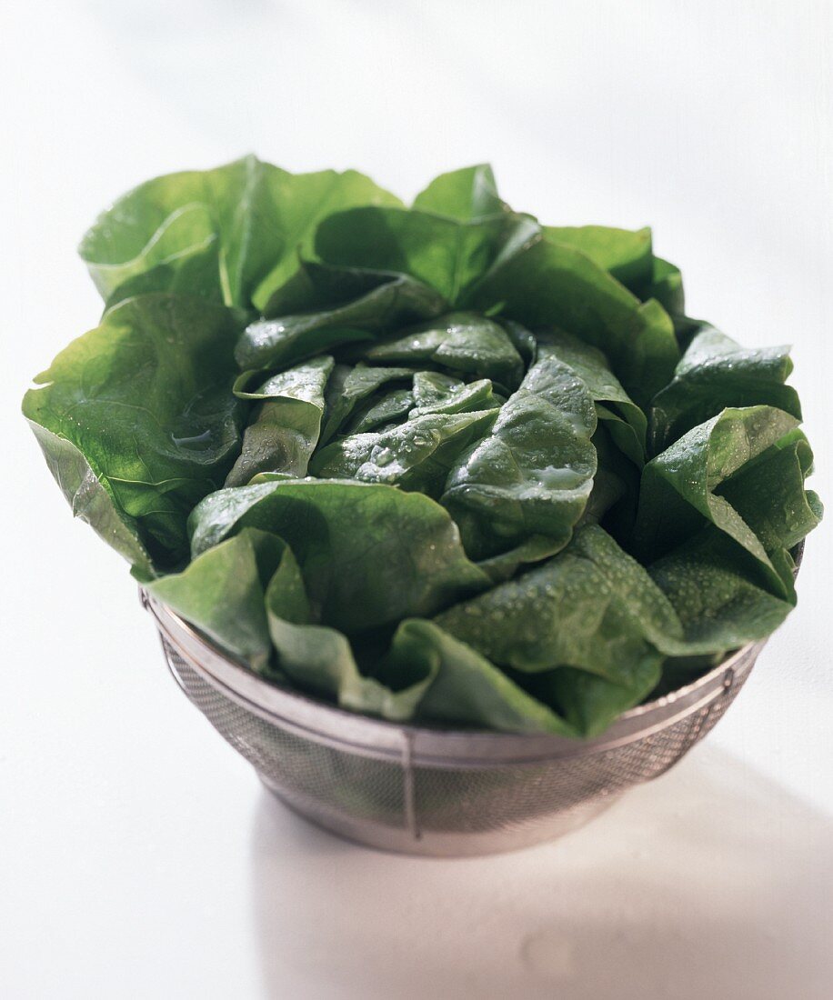 Lettuce in a strainer