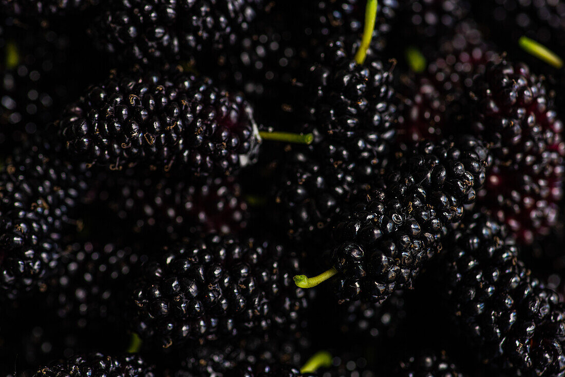 Close-up image captures of ripe mulberries, highlighting their glossy, deep black hue and tiny visible seeds.