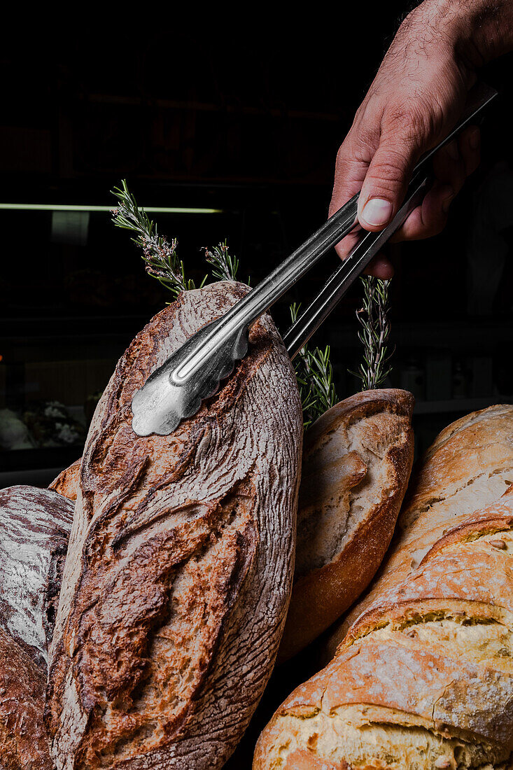 Eine Vielzahl von frisch gebackenen Sauerteigbroten mit knuspriger Kruste, präsentiert von einer abgeschnittenen, nicht erkennbaren Hand, die eine Zange hält.