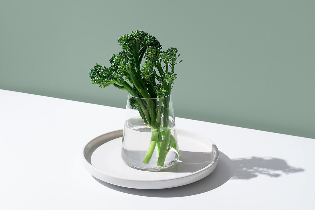 Fresh broccolini stalks, also known as Tenderstem or baby broccoli, are elegantly displayed in a glass jar with water on a white plate.