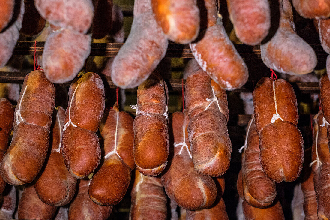 A collection of traditional Sobrasada and other unidentified cured meats ageing in a controlled environment, revealing a rich variety of color and textures indicative of the curing process.