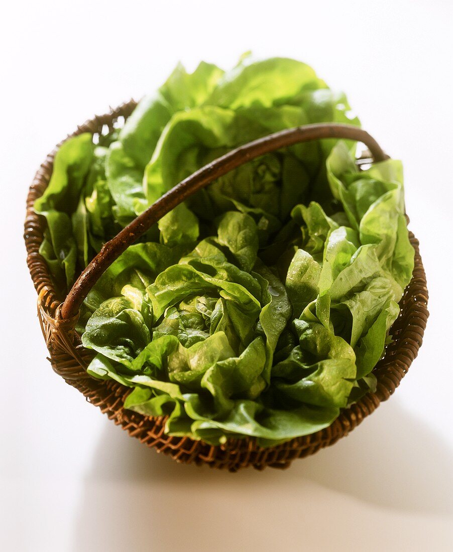 Kopfsalate in einem Weidenkorb