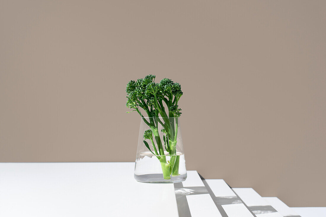 Lebendige Broccolini-Stängel, bekannt als Tenderstem und Baby-Broccoli, in einem Glas mit Wasser vor einem beigen Hintergrund, beleuchtet von natürlichem Licht, das weiche Schatten erzeugt.