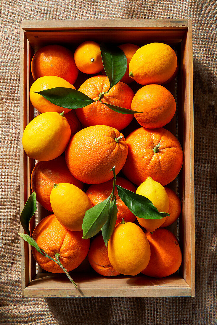 Navel oranges and lemons in a wooden crate on burlap