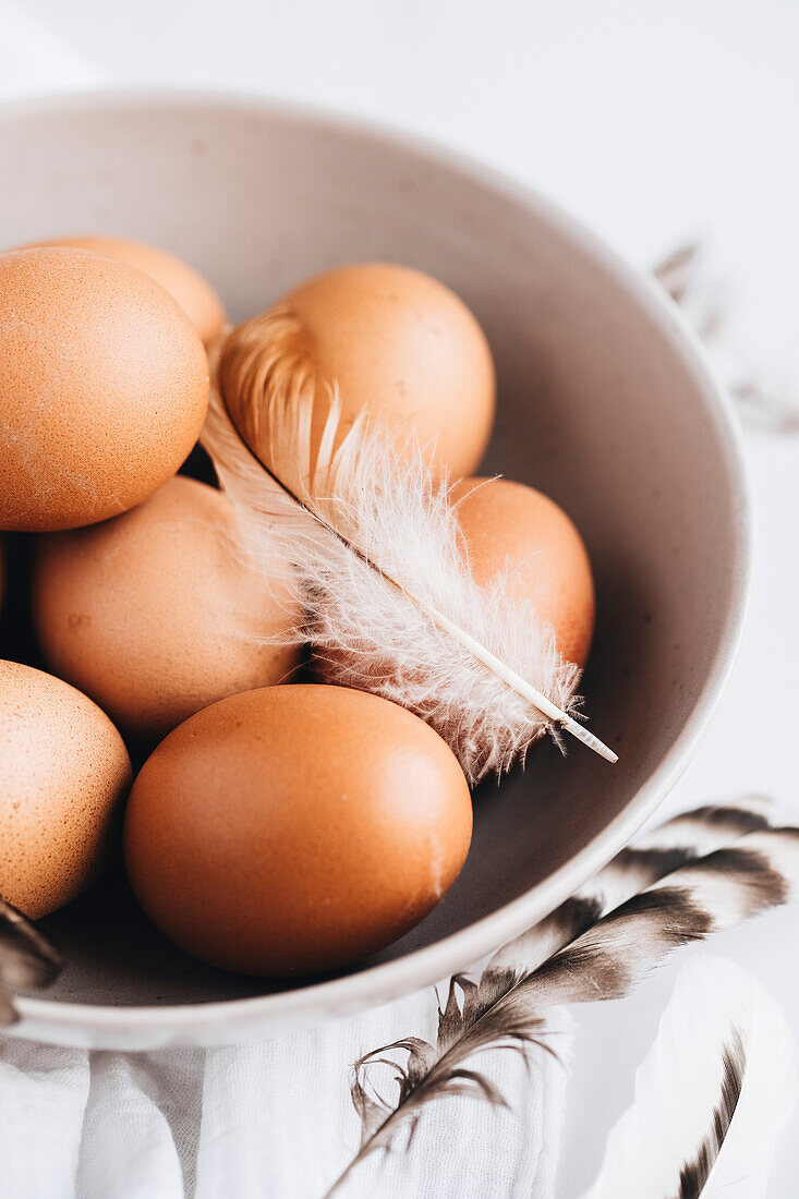 Fresh Chicken Eggs With Feathers