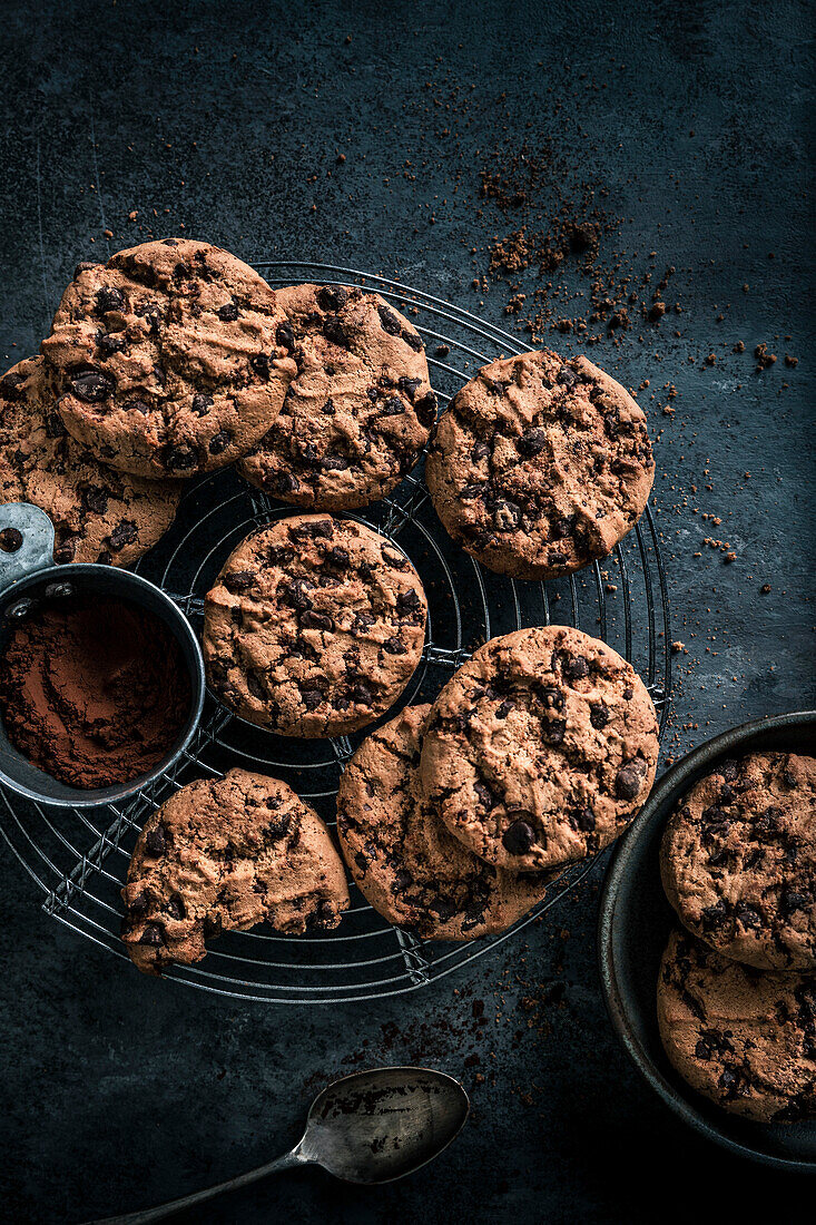 Chocolate biscuit on a dark background