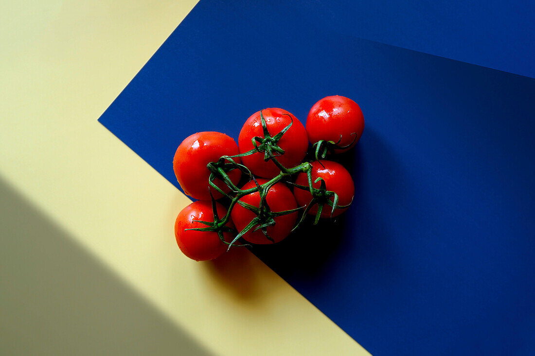 Ripe tomatoes on the vine with colour blocking and geometric shadow aesthetics.