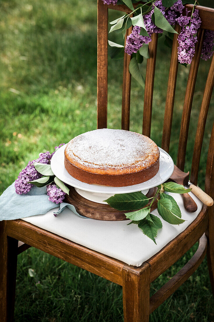 A yellow cake on a rustic chair in a summer garden