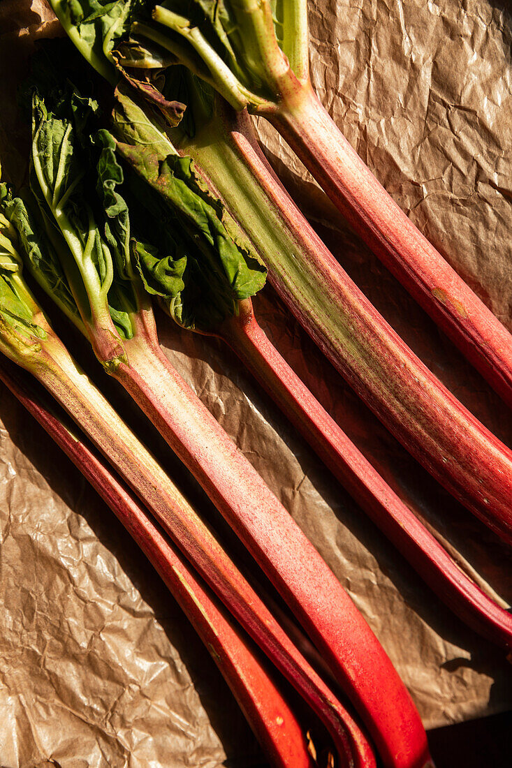 Hand-picked fresh rhubarb stalks