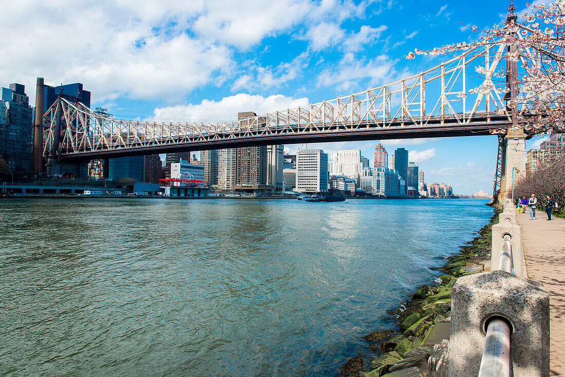 Blick auf die Ed Koch Queensboro Bridge & Manhattan Skyline von Roosevelt Island. New York City, New York, USA.