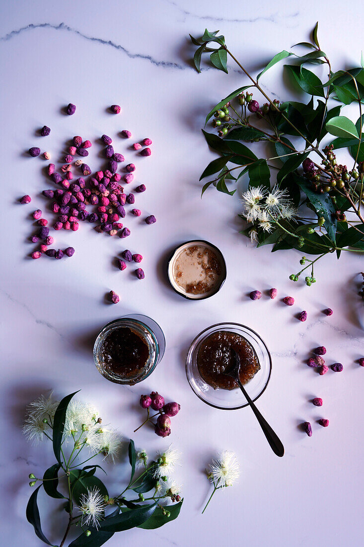 Früchte des australischen Lilly-Pilly-Baums, der aufgrund seines Nährwerts als Superfood gilt. Die essbaren Beeren werden traditionell zu Marmeladen und Chutneys verarbeitet.