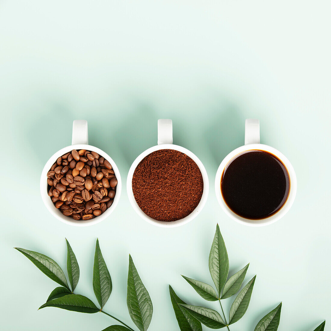 Aesthetic display of coffee in beans, ground, and liquid form with greenery.