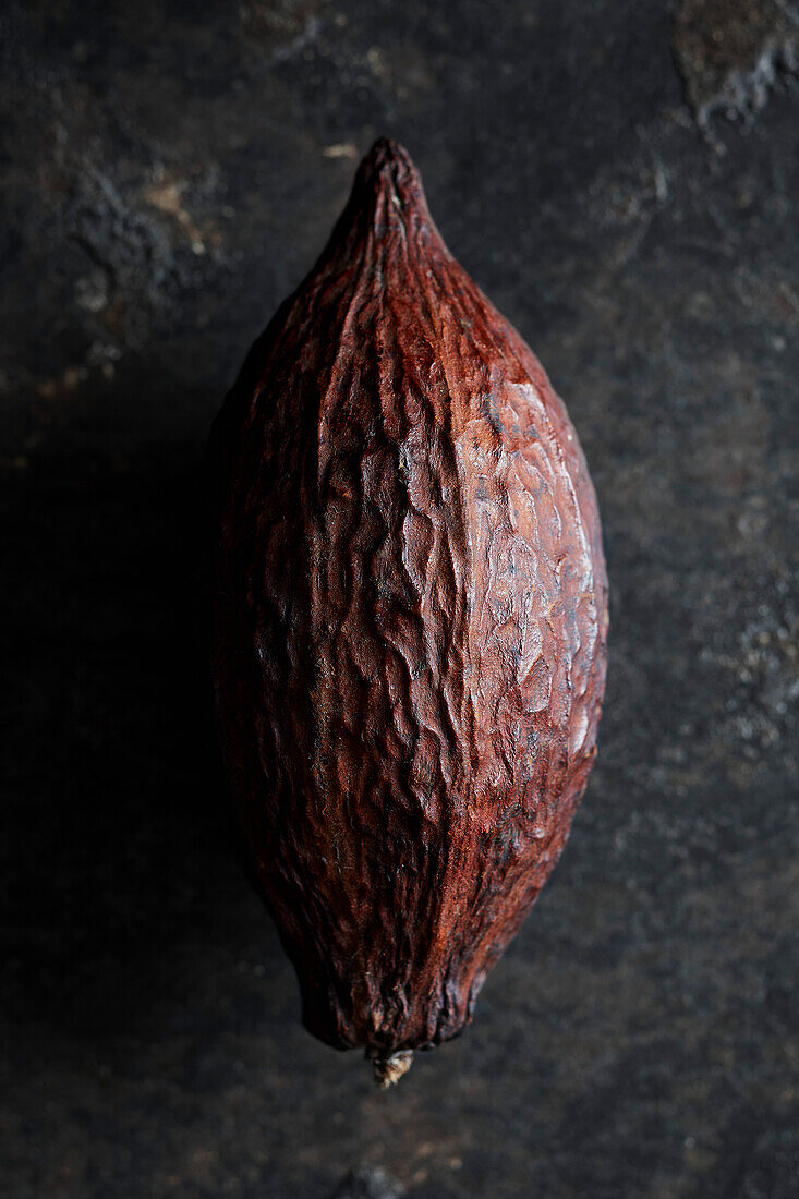 Cacao pod on black background