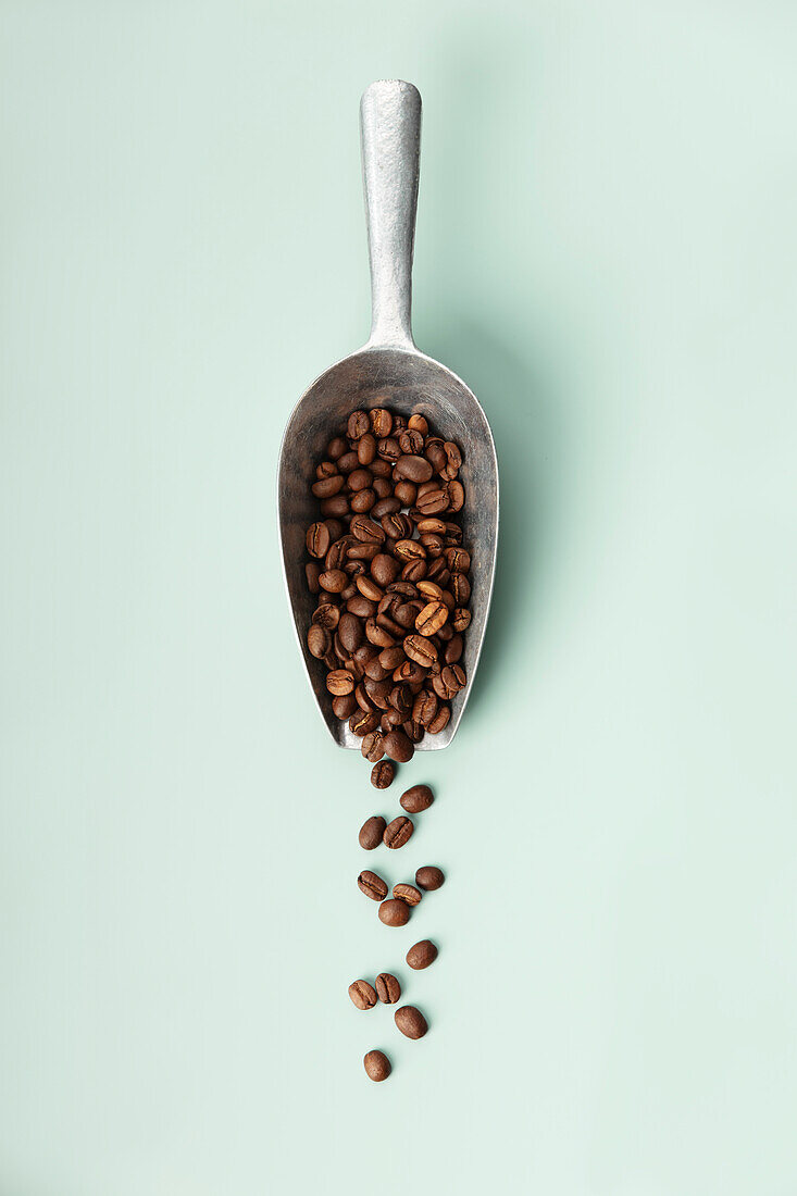 A metal scoop overflows with aromatic roasted coffee beans on a mint background