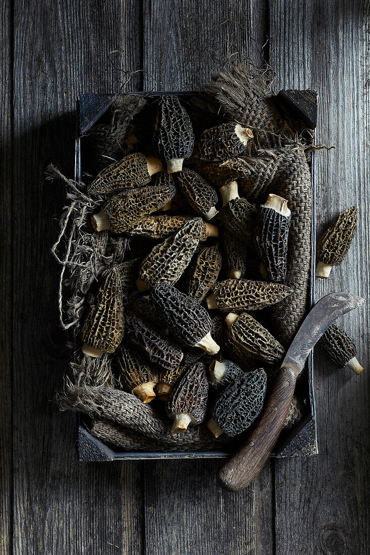 Black morels in a market box on a gray wooden background