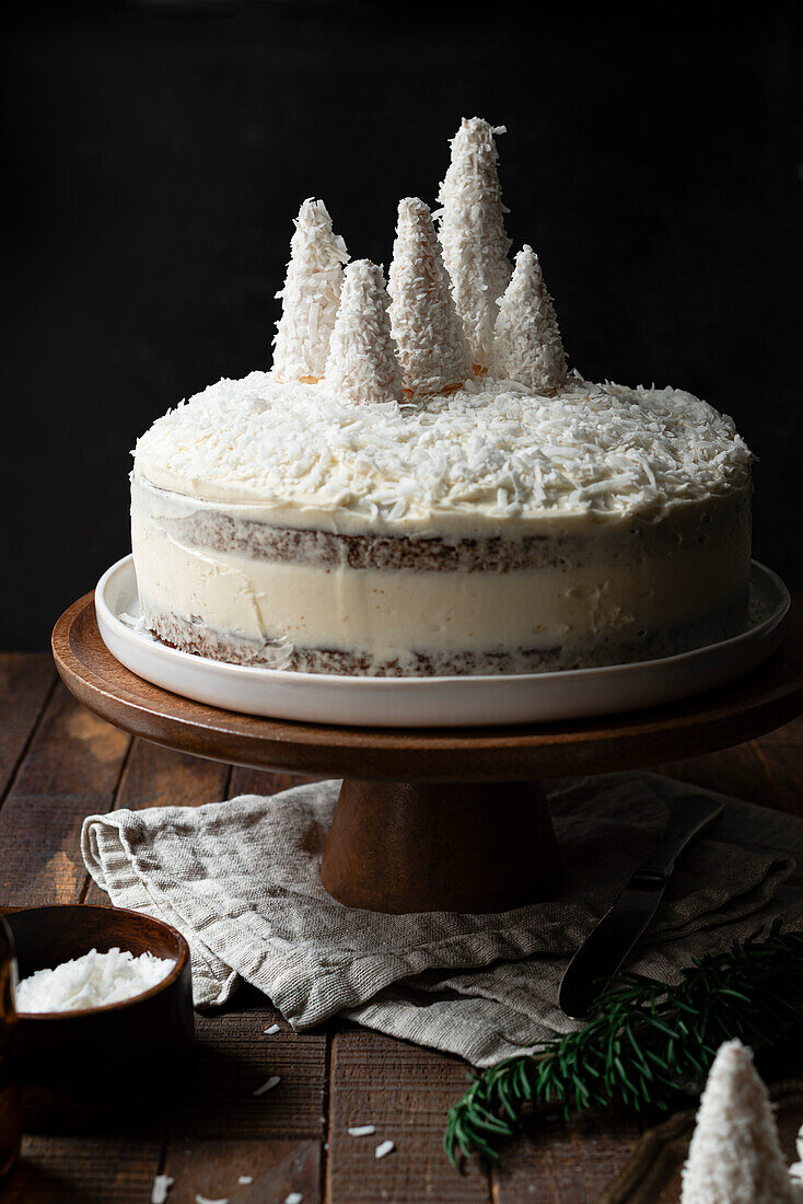 Coconut winter wonderland layer cake