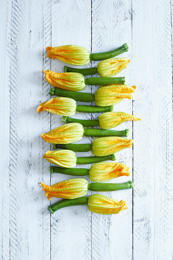 Frische selbstgezogene Zucchiniblüten auf weißem Holzuntergrund