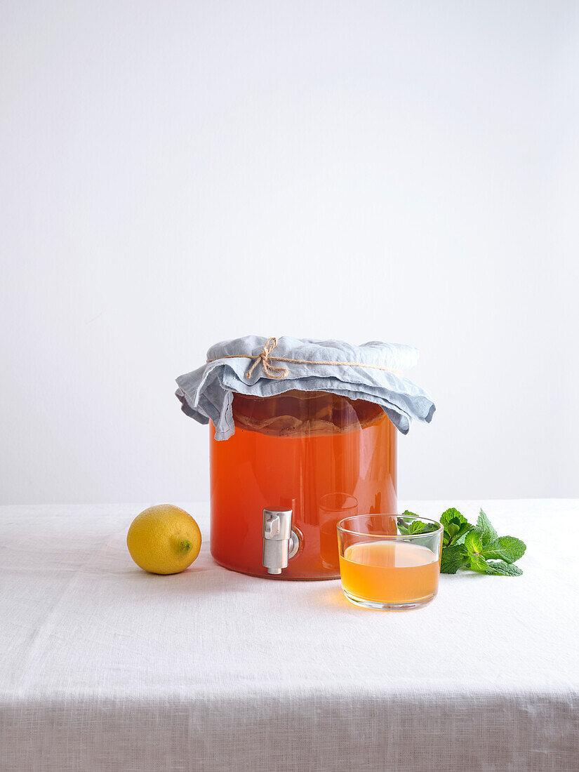 Großes Glasgefäß mit fermentiertem Tee-Kombucha auf weißem Hintergrund. Erste Fermentierung des hausgemachten Bio-Getränks