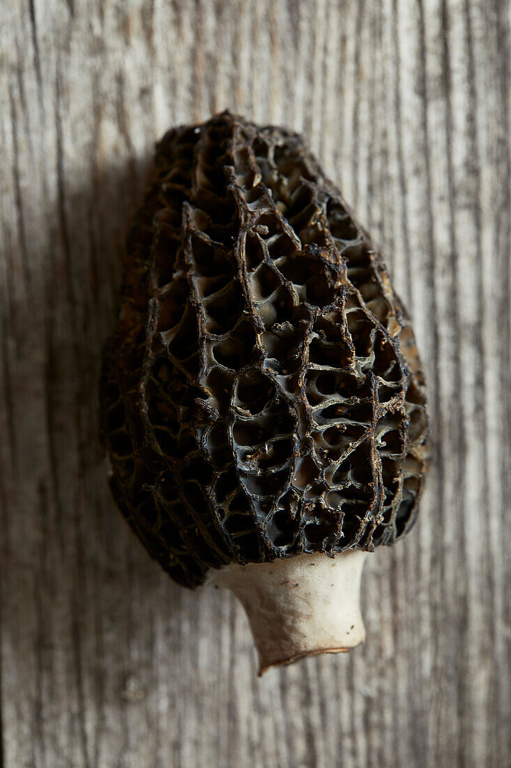 Black morels in close-up on a grey wooden background