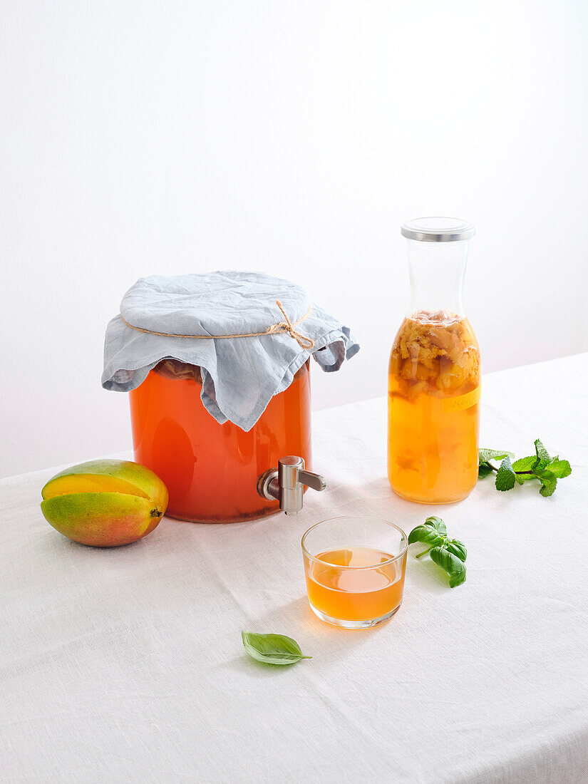 Big glass jar with kombucha scoby and a bottle of homemade fermented kombucha drink on white background