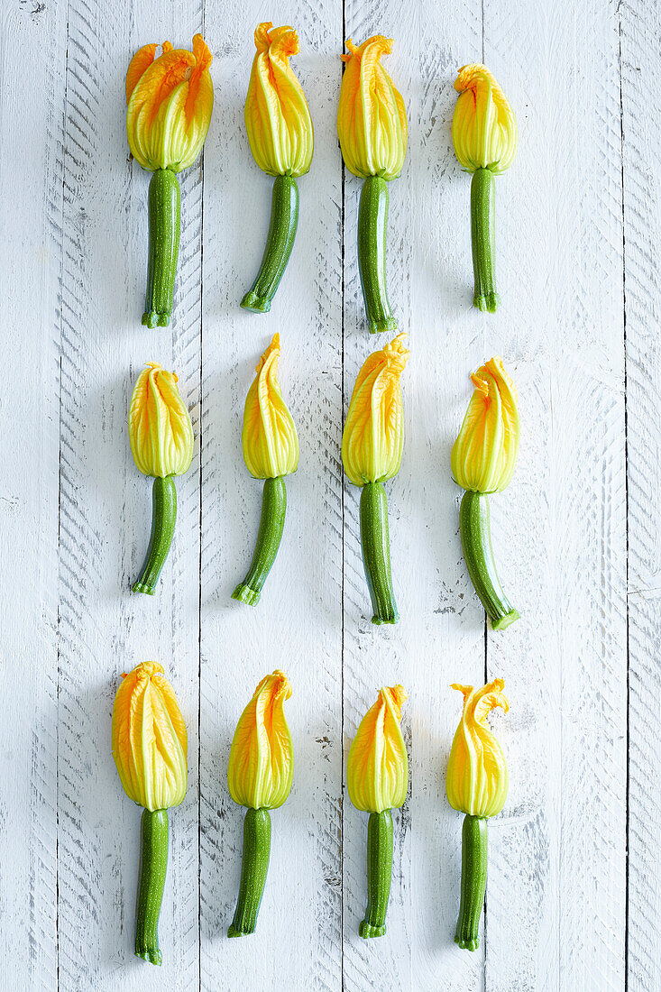 Frische, selbstgezogene Zucchiniblüten auf weißem Holzuntergrund