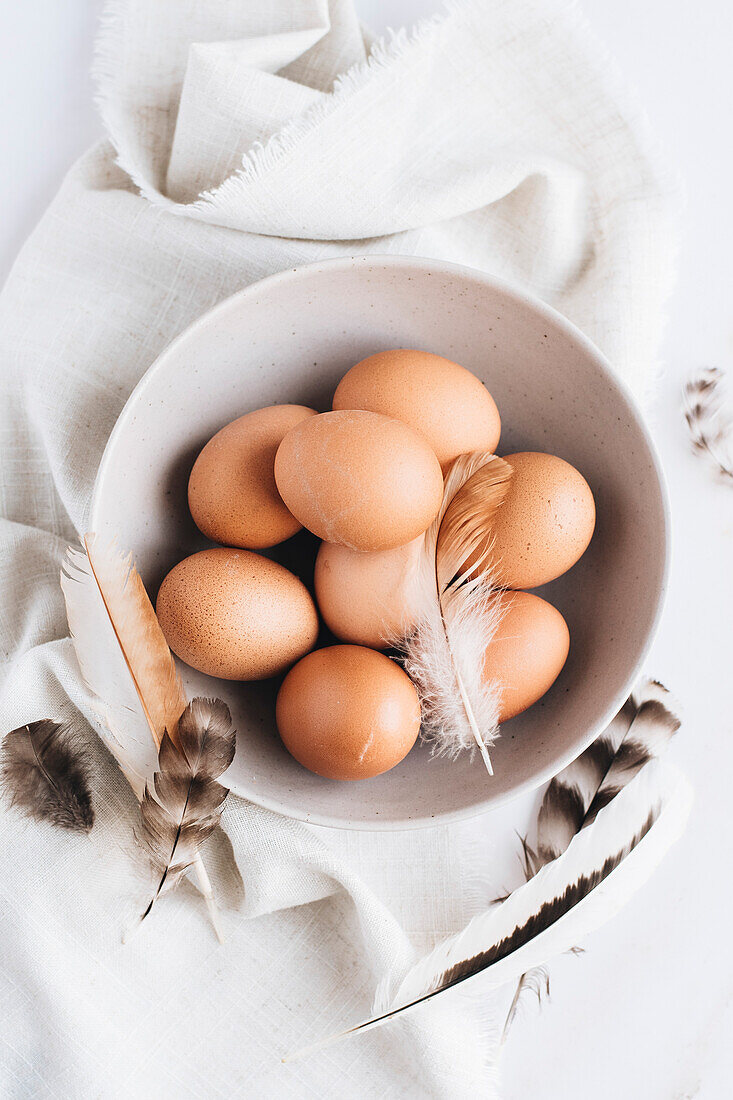 Fresh chicken eggs with feathers