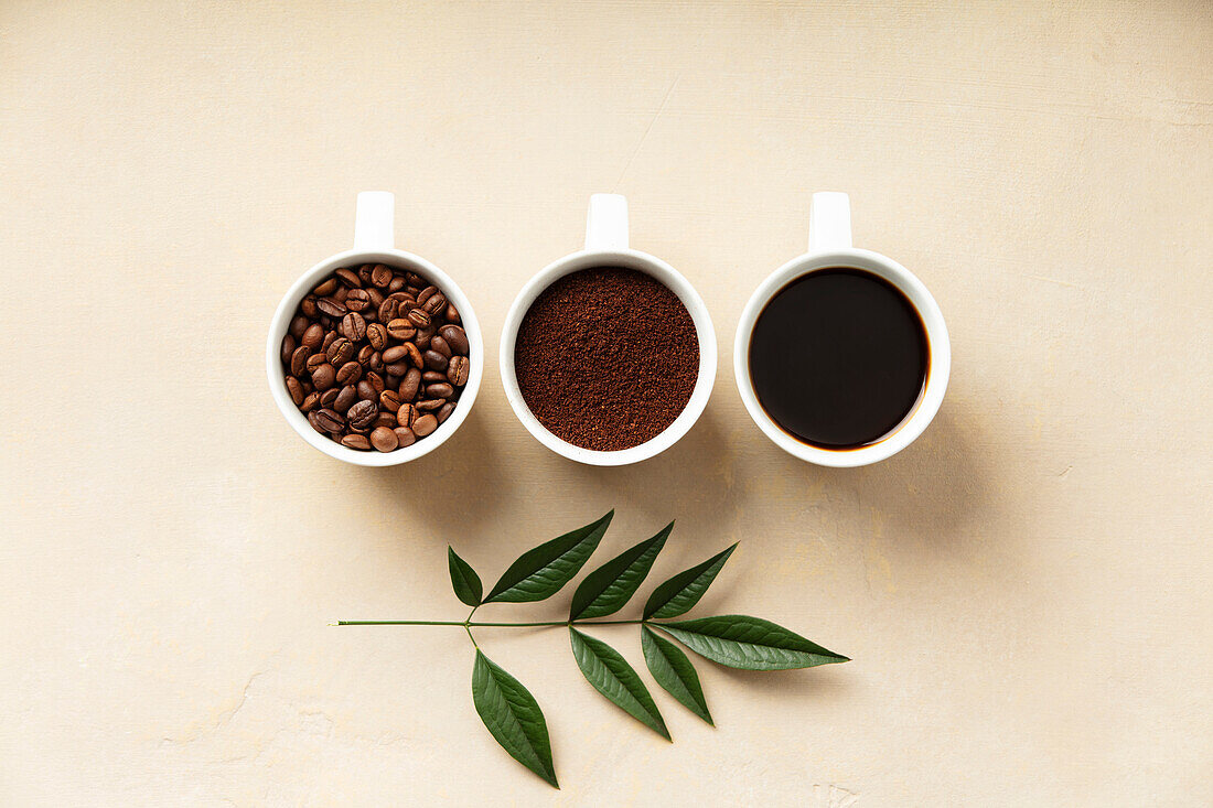 Ansicht von oben auf den Prozess der Kaffeezubereitung, von den Bohnen bis zum Aufbrühen, mit einem grünen Blatt.