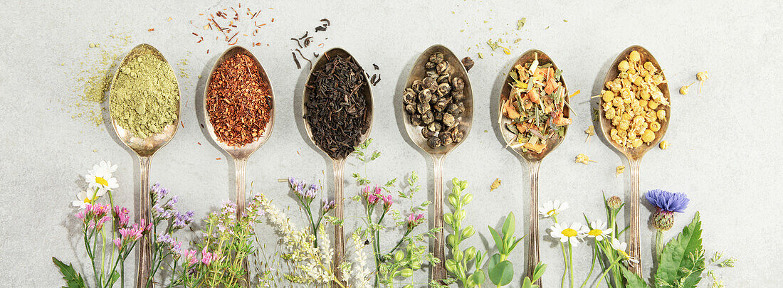 Different types of tea in vintage spoons. and Healing herbs Flat lay, top view on concrete background. Matcha, rooibos, black, green, herbal mix and camomile tea. Herbal medicine, alternative treatment, natural remedy