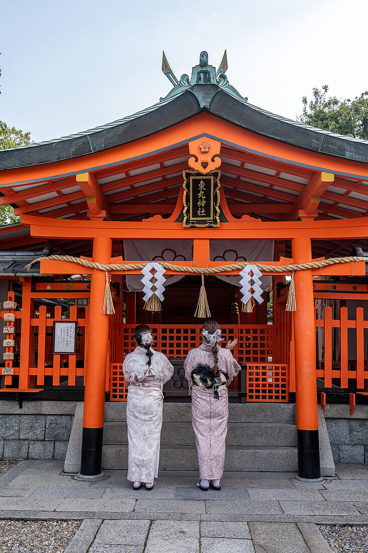 Frauen in traditioneller Kleidung beim Besuch von Tempeln und Schreinen während der Kirschblütenzeit (Sakura) und -feste, Kyoto, Honshu, Japan, Asien