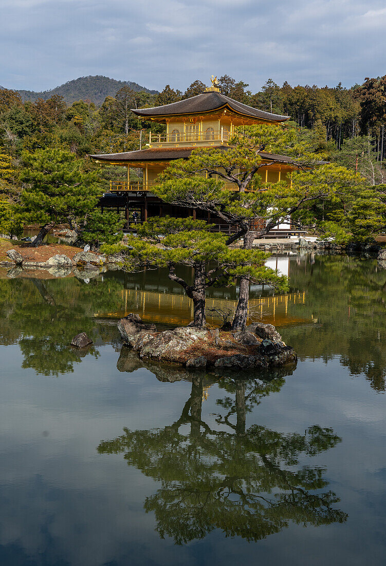 Temples and shrines during the cherry blossom (sakura) season and festivals, Kyoto, Honshu, Japan, Asia