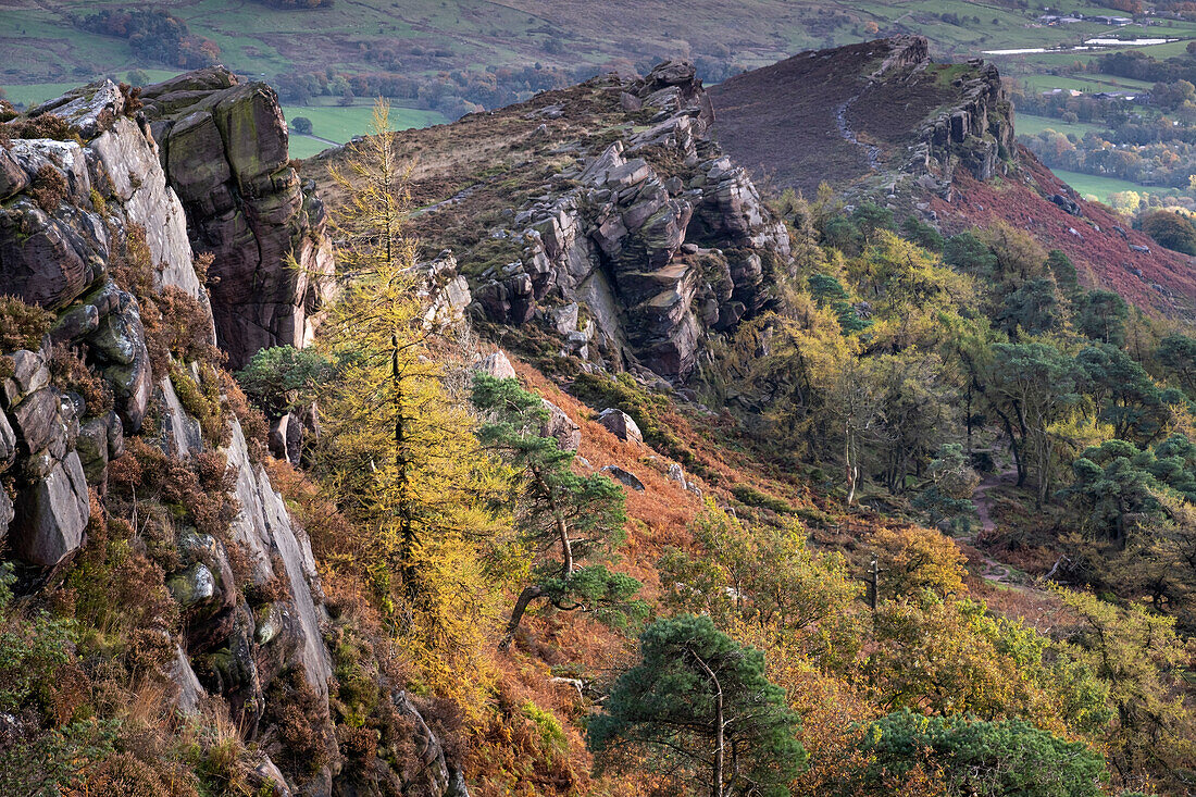 Hen Cloud and The Roaches in autumn, near Leek, Peak District National Park, Staffordshire Moorlands, Staffordshire, England, United Kingdom, EuropeUnited Kingdom, Europe