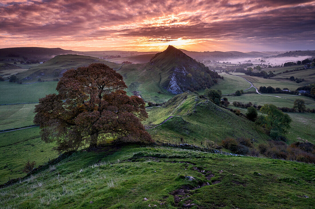 Parkhouse Hill at sunrise from Chrome Hill, near Longnor, Peak District National Park, Derbyshire, England, United Kingdom, Europe