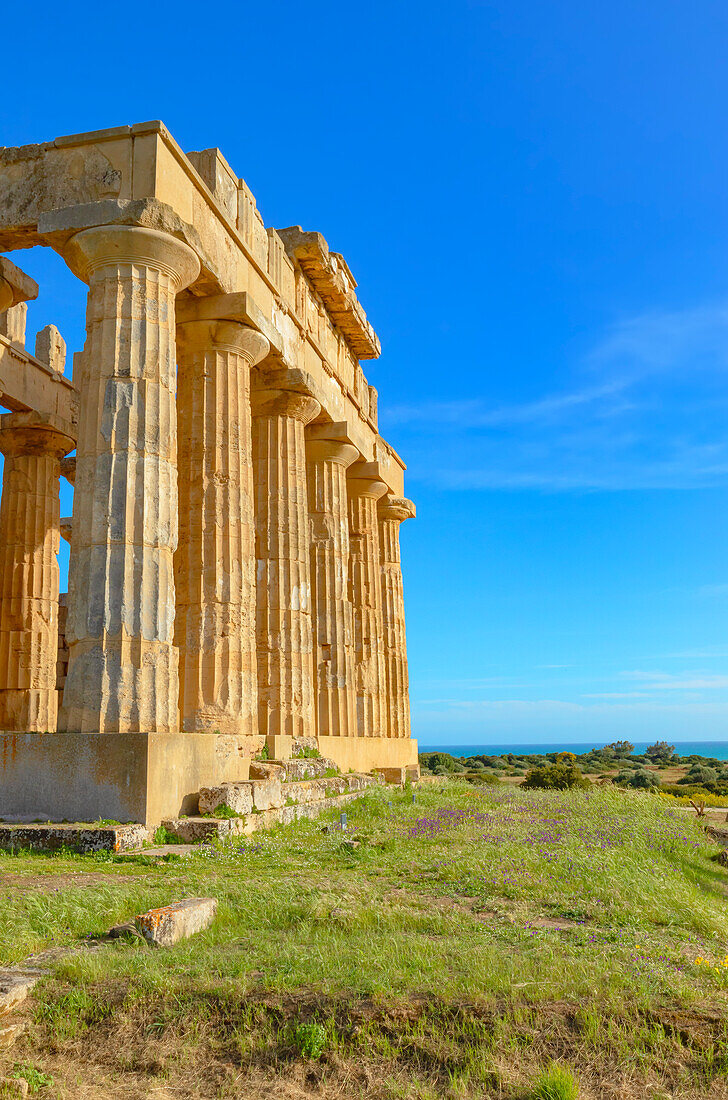 Temple of Hera (Temple E), Selinunte Archaeological Park, Selinunte, Trapani district, Sicily, Italy, Mediterranean, Europe