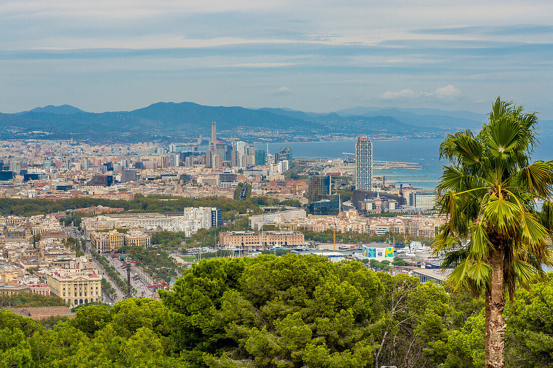 Views of the city from Montjuic Castle old military fortress on Montjuic Mountain overlooking the city, Barcelona, Catalonia, Spain, Europe