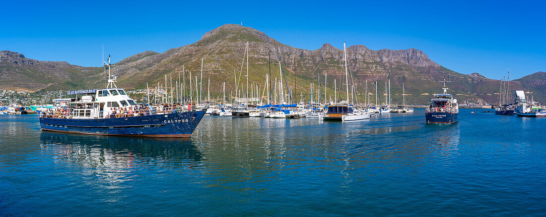 Blick auf Glasbodenboot beim Verlassen des Hafens von Hout Bay, Hout Bay, Kapstadt, Westkap, Südafrika, Afrika