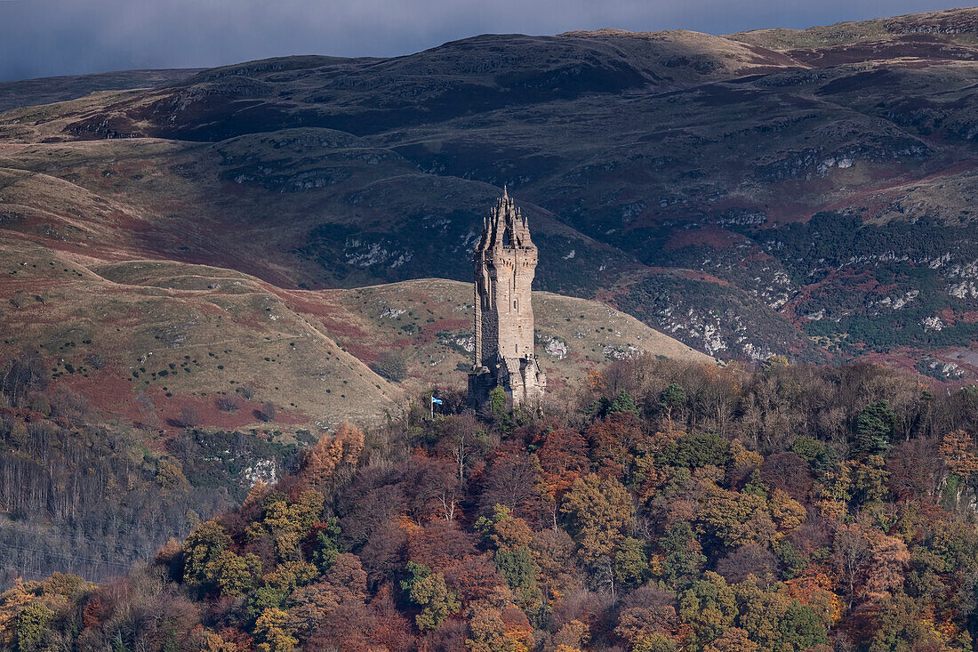 Das Nationale Wallace-Denkmal auf Abbey Craig vor der Kulisse der Ochil Hills im Herbst, Stirling, Stirlingshire, Schottland, Vereinigtes Königreich, Europa