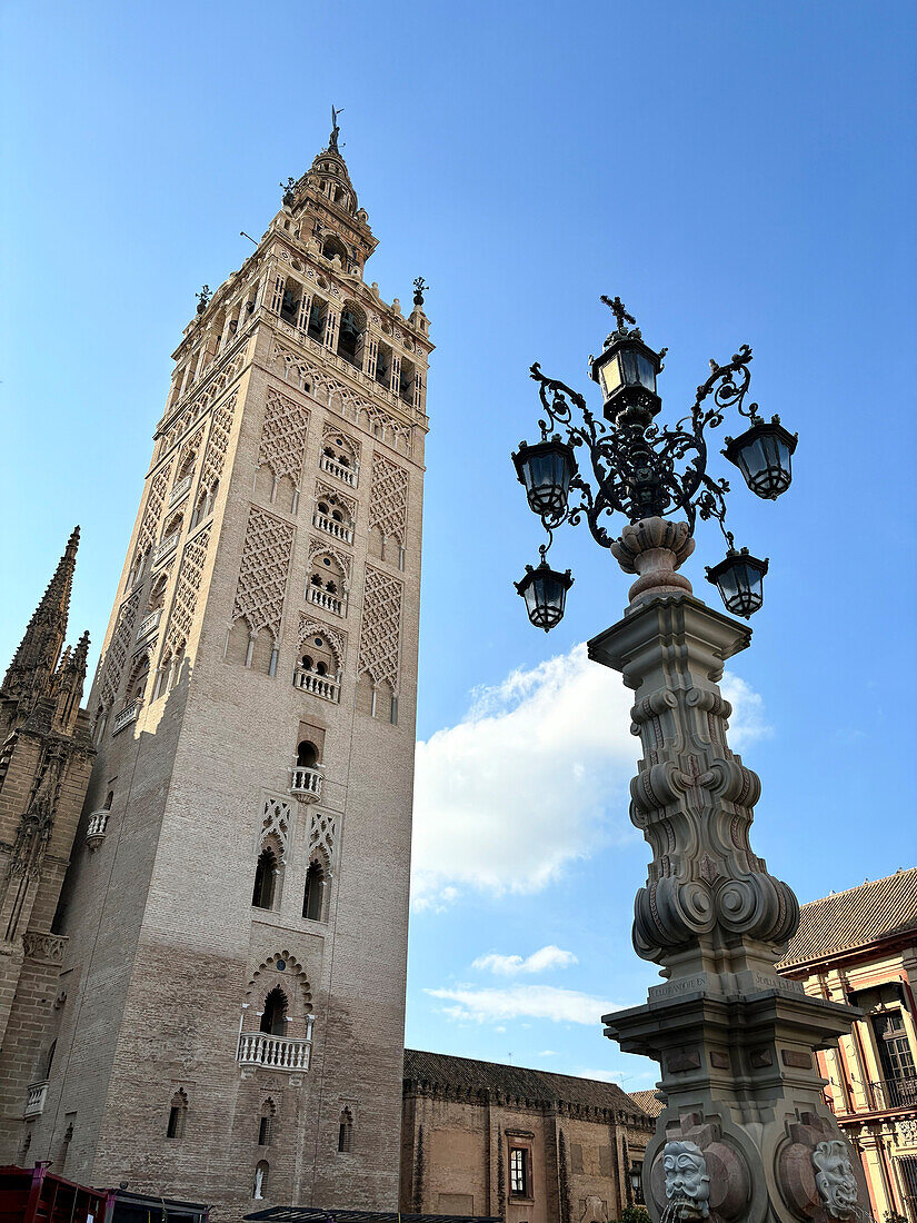 View of the the Giralda (Bell Tower) of the Roman Catholic Cathedral of Saint Mary of the See (Seville Cathedral), UNESCO World Heritage Site, Seville, Andalusia, Spain, Europe