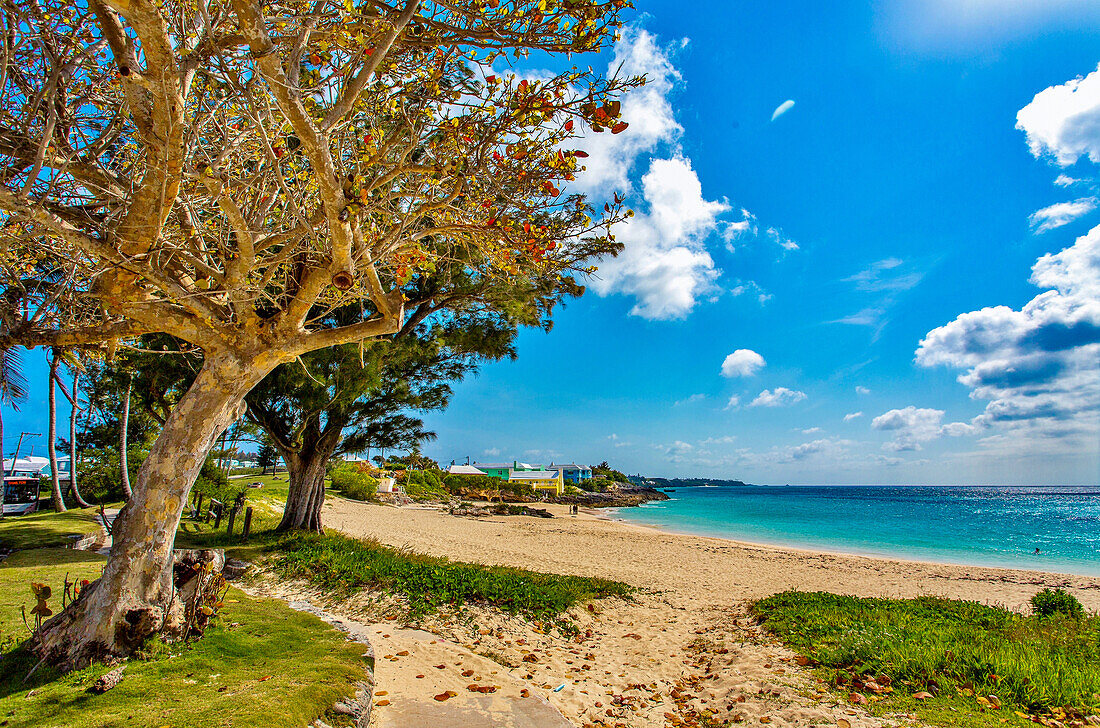 John Smith's Bay, Smith's, Bermuda, North Atlantic, North America