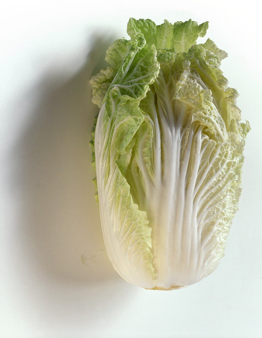 Chinese Cabbage