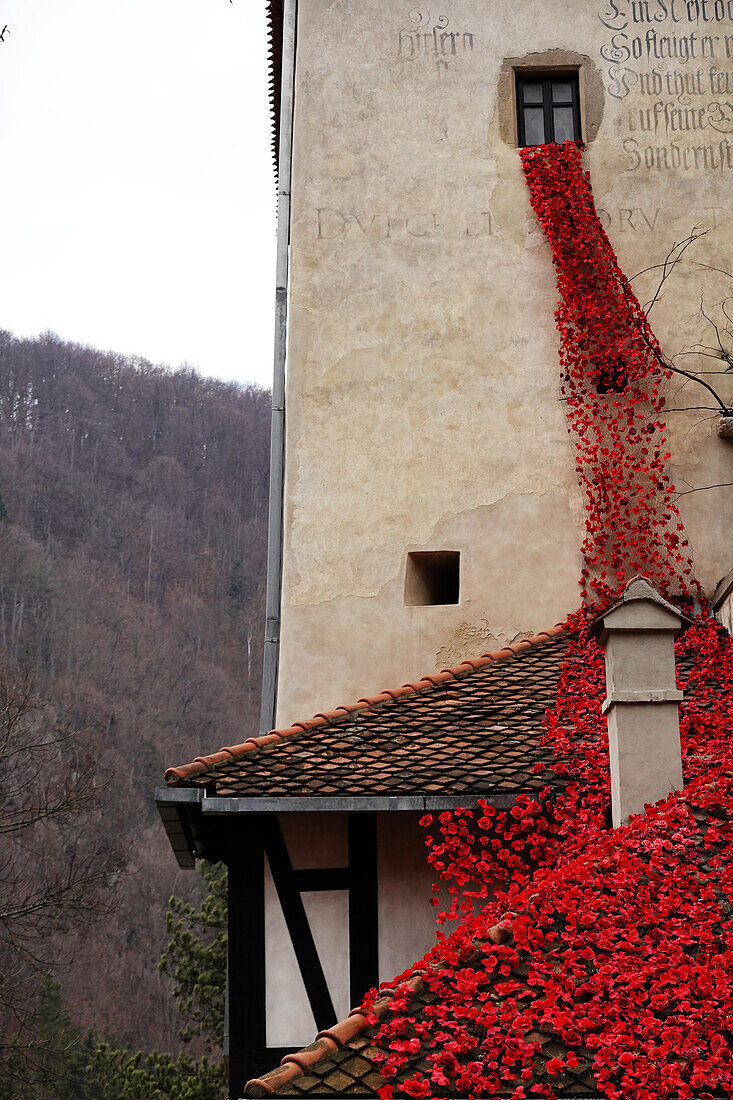 Schloss Bran, (Dracula-Schloss) erbaut von Sachsen im Jahr 1377, die das Privileg von Ludwig I. von Ungarn erhielten, Bran, in der Nähe von Brasov, Transsilvanien, Rumänien, Europa