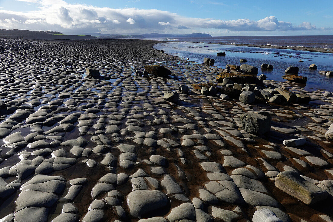 Die Gezeitenzone der Quantock Coast, die eine Fülle von Geologie und Wildtieren enthält, ein Gebiet von besonderem wissenschaftlichen Interesse (SSSI), West Somerset, England, Vereinigtes Königreich, Europa