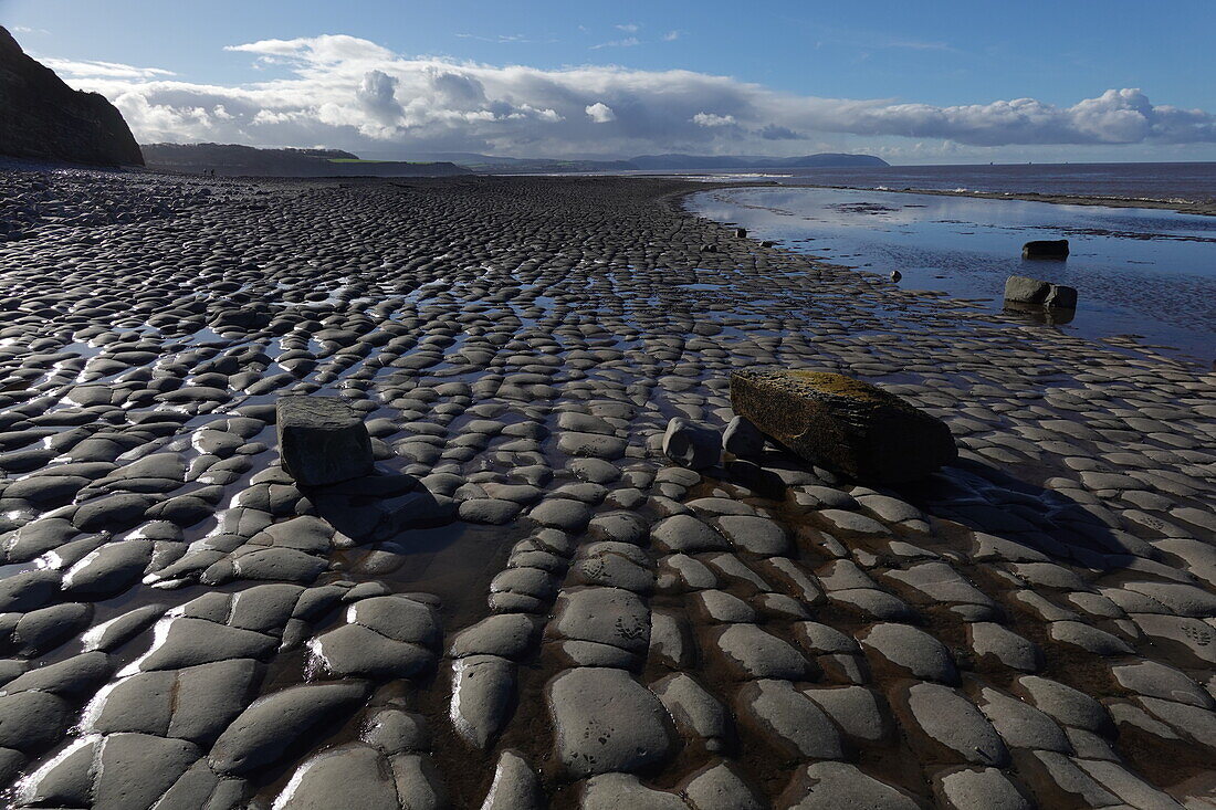 Die Gezeitenzone der Quantock Coast, die eine Fülle von Geologie und Wildtieren enthält, ein Gebiet von besonderem wissenschaftlichem Interesse (SSSI), West Somerset, England, Vereinigtes Königreich, Europa