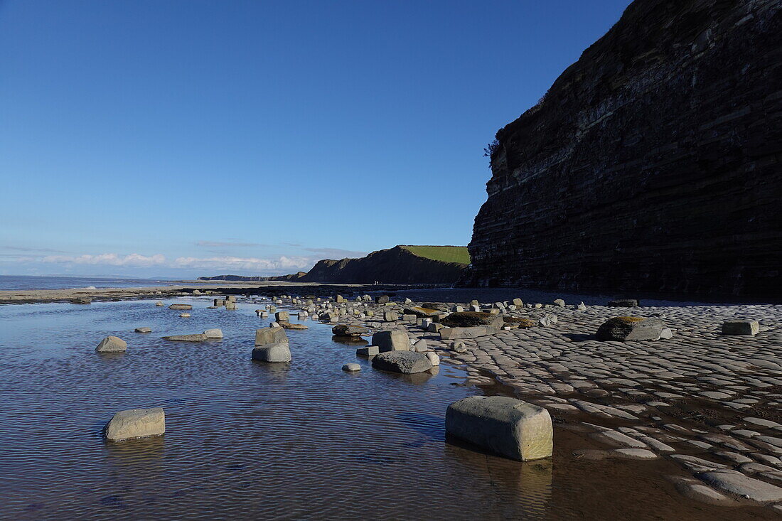 The intertidal zone of the Quantock Coast, containing an abundance of geology and wildlife, a Site of Special Scientific Interest (SSSI), West Somerset, England, United Kingdom, Europe