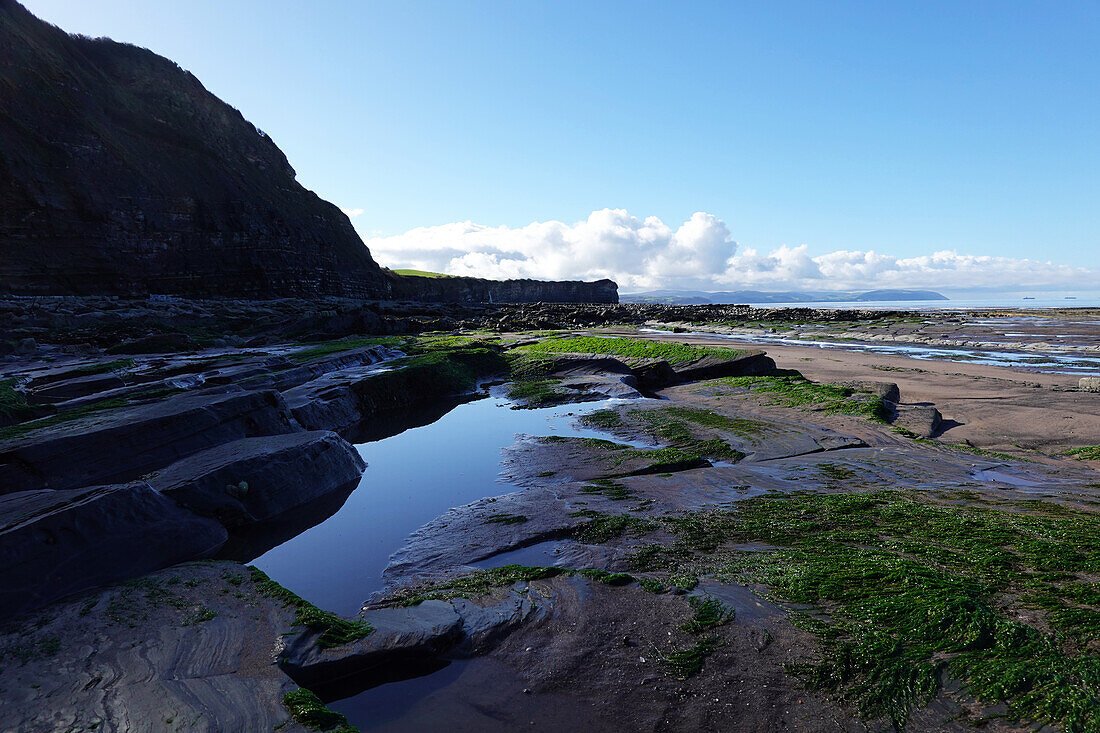 Die Gezeitenzone der Quantock Coast, die eine Fülle von Geologie und Wildtieren enthält, ein Gebiet von besonderem wissenschaftlichen Interesse (SSSI), West Somerset, England, Vereinigtes Königreich, Europa