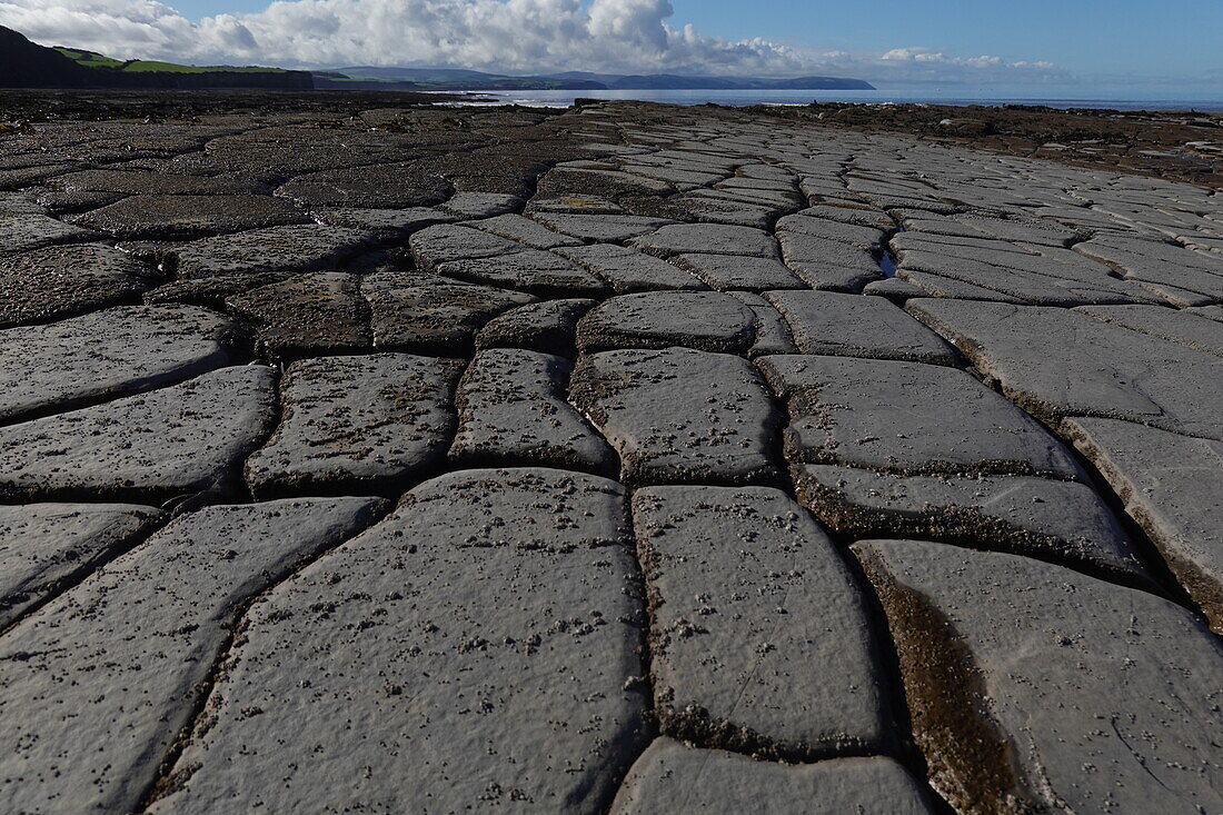 Die Gezeitenzone der Quantock Coast, die eine Fülle von Geologie und Wildtieren enthält, ein Gebiet von besonderem wissenschaftlichem Interesse (SSSI), West Somerset, England, Vereinigtes Königreich, Europa