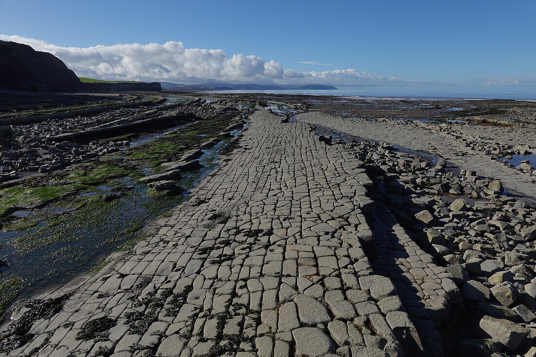 Die Gezeitenzone der Quantock Coast, die eine Fülle von Geologie und Wildtieren beherbergt, ein Gebiet von besonderem wissenschaftlichen Interesse (SSSI), West Somerset, England, Vereinigtes Königreich, Europa