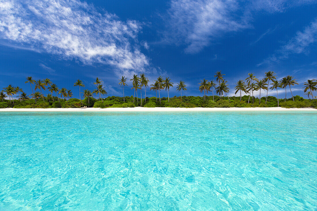 Tropical beach and palm trees, The Maldives, Indian Ocean, Asia