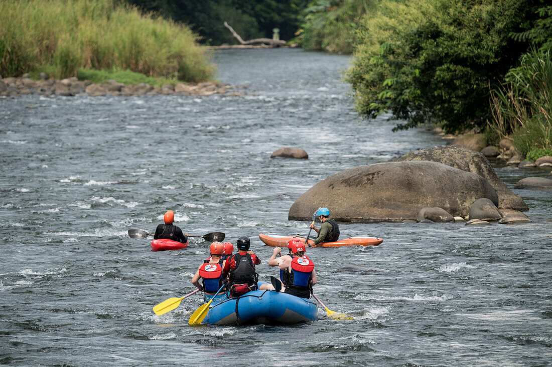 Whitewater rafting, Heredia Province, Sarapiqui, Costa Rica, Central America